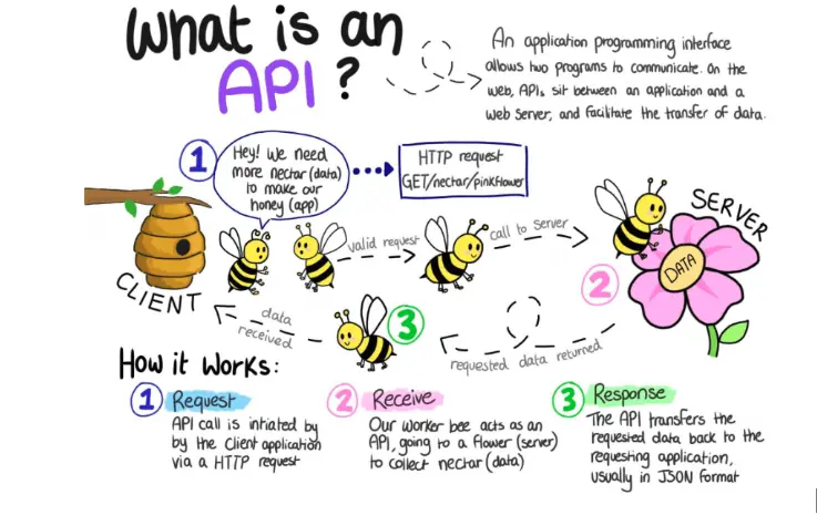 What is an API