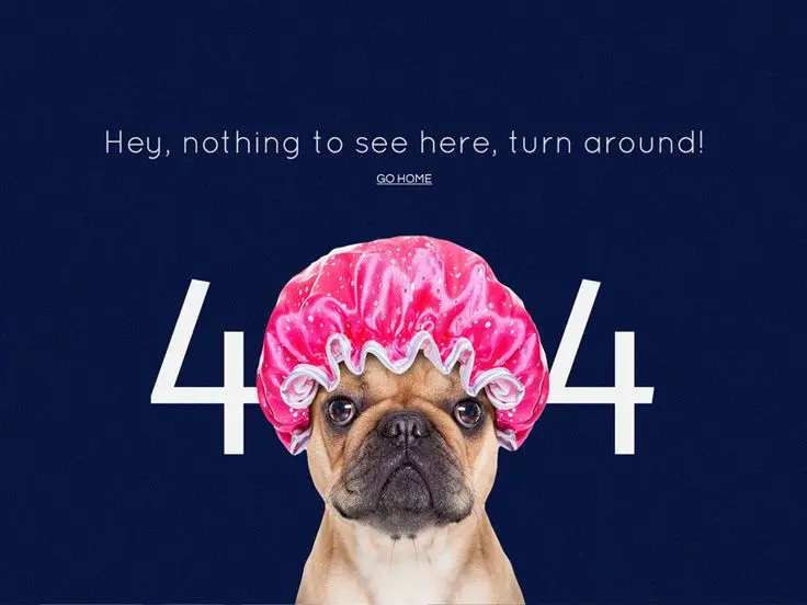 404 Error image