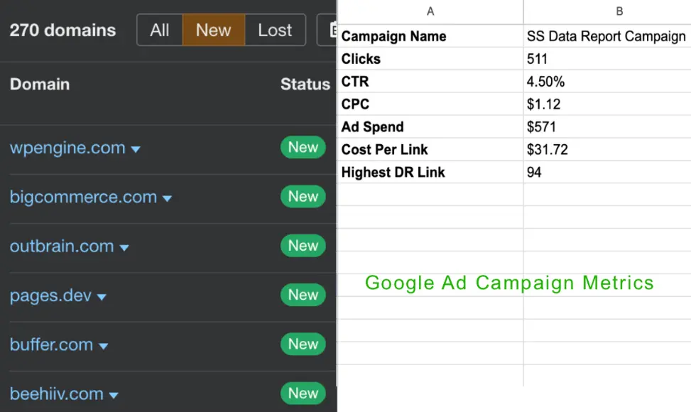 Example of LoudGrowth’s Google Ads campaign (270 domain)