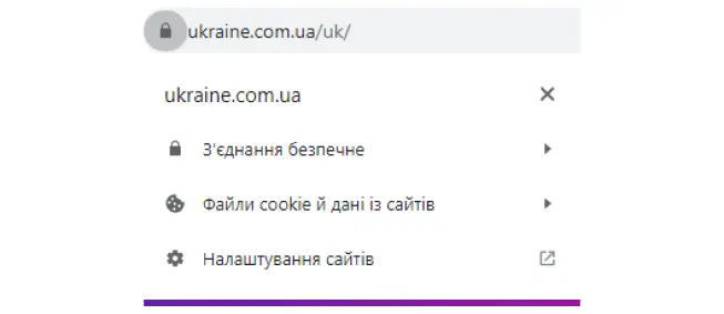 Сайти, що працюють за протоколом HTTPS у Google Chrome та Firefox