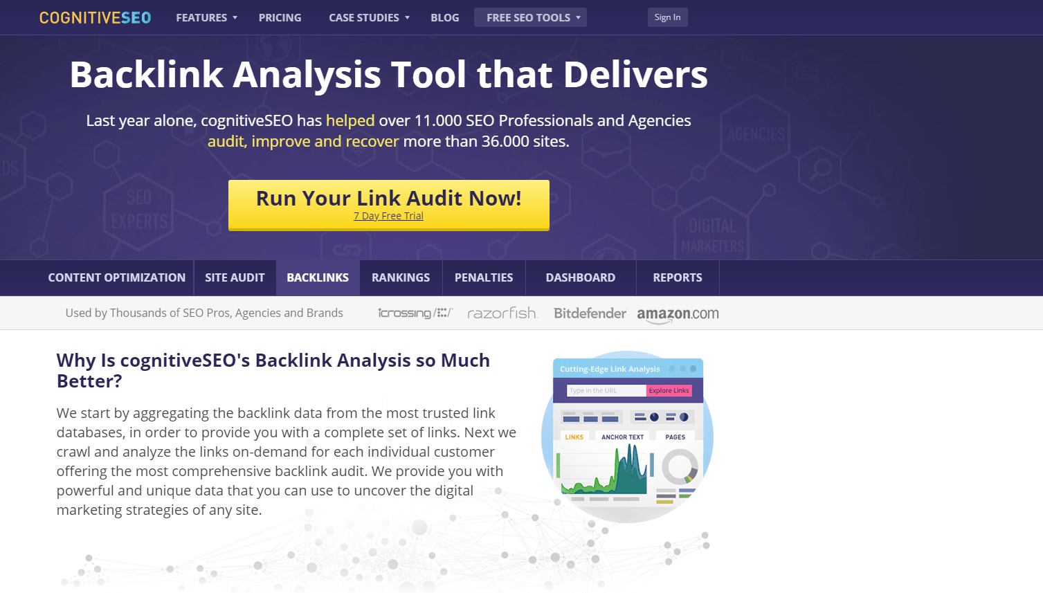 CognitiveSEO