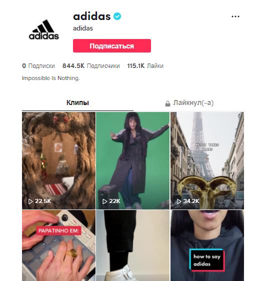 Бизнес-аккаунт в TikTok, пример
