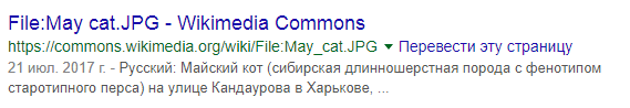 Перевод URL на английский язык