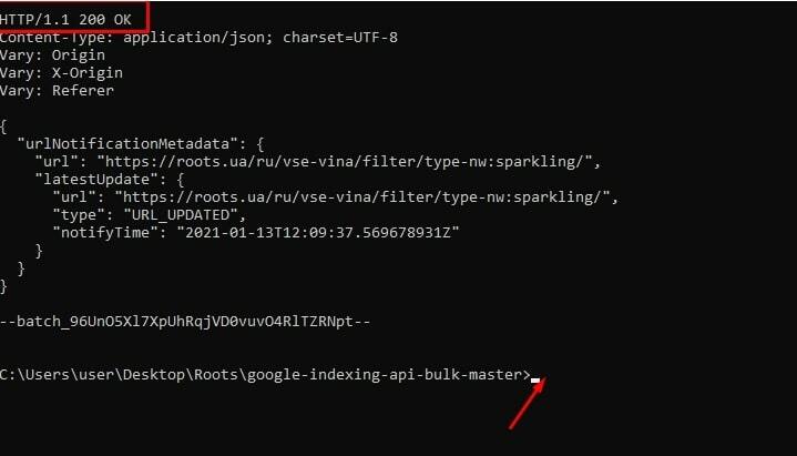 Zapusk komandi node index.js