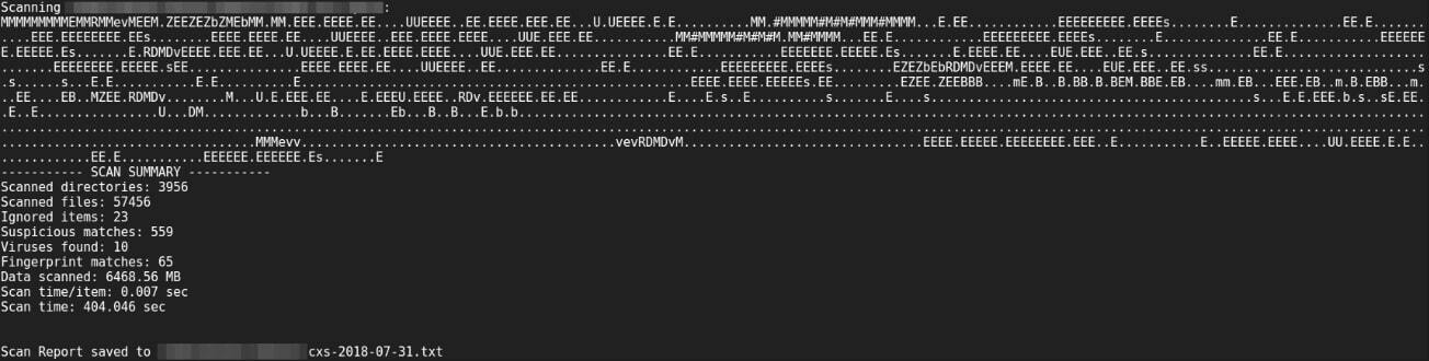 Результаты сканирования коммерческим CXS