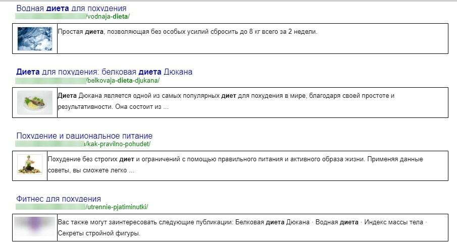 Внутренний поиск Google для CMS WordPress