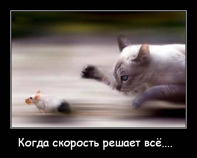 Иллюстрация на тему быстрой средней скорости загрузки