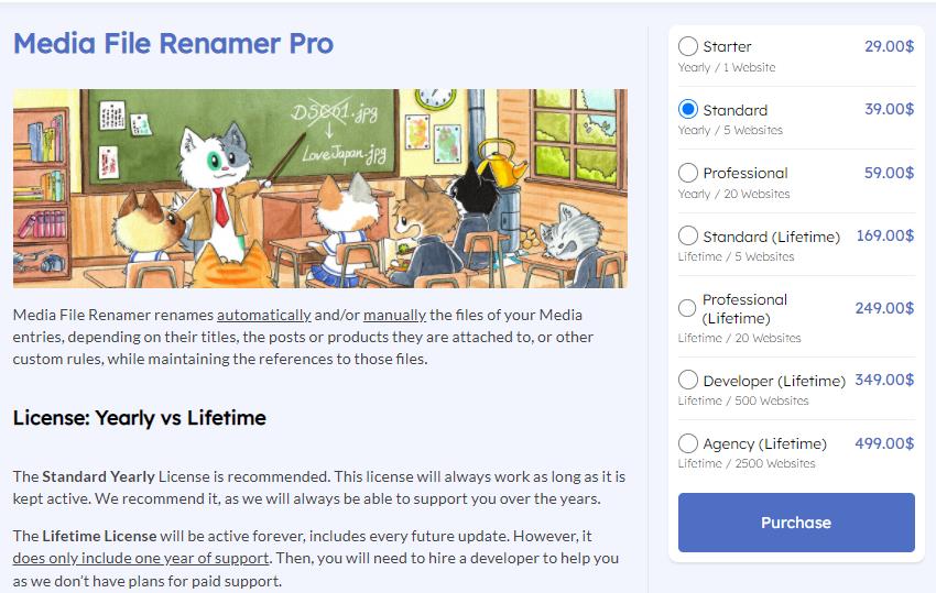 Стоимость плагина Media File Renamer (Auto Rename)
