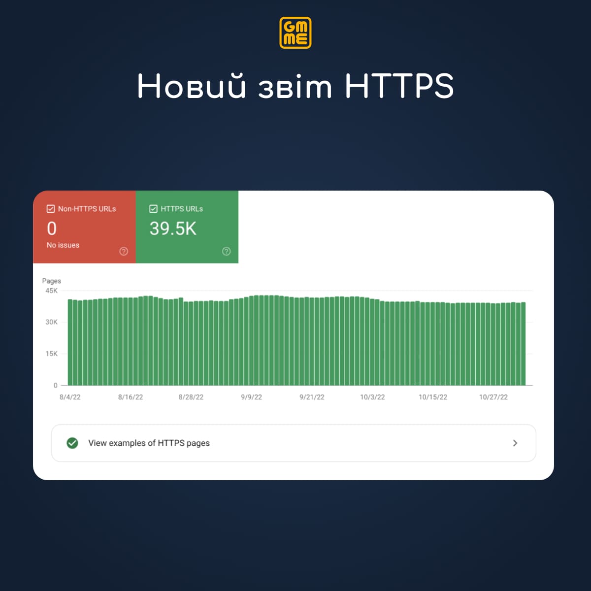 Звіт HTTPS