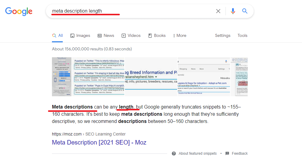 meta description keywords bolded