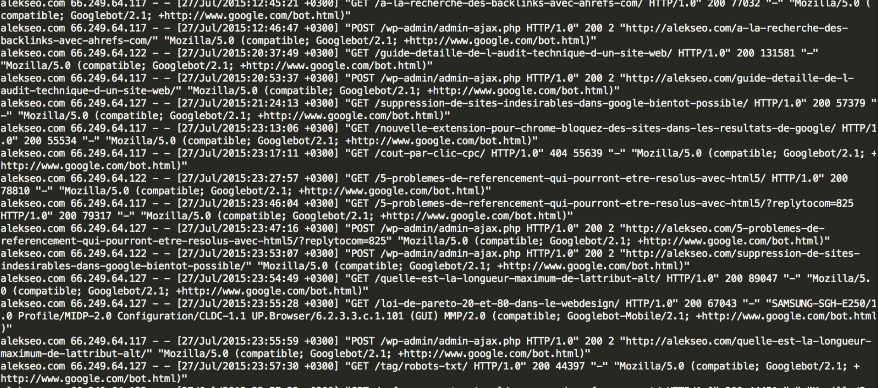 Die Logdateien des Servers