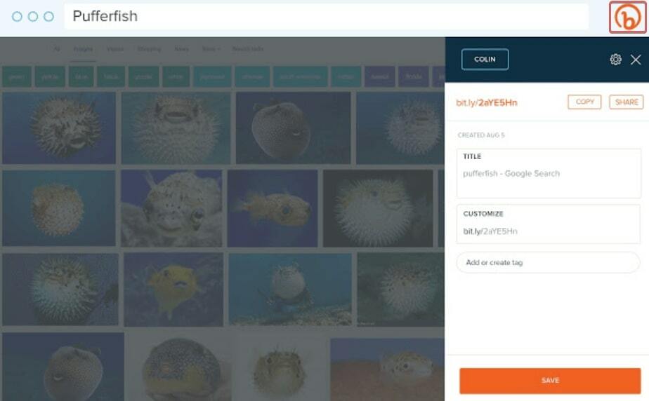 Плагин Bitly