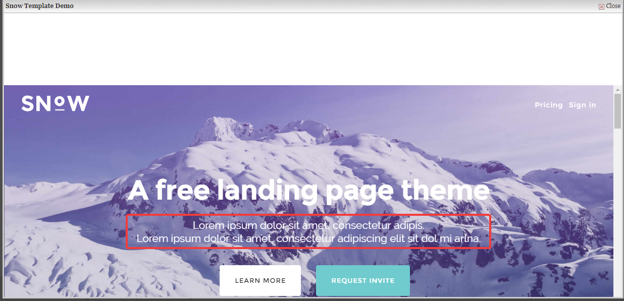 Lorem ipsum text on the site