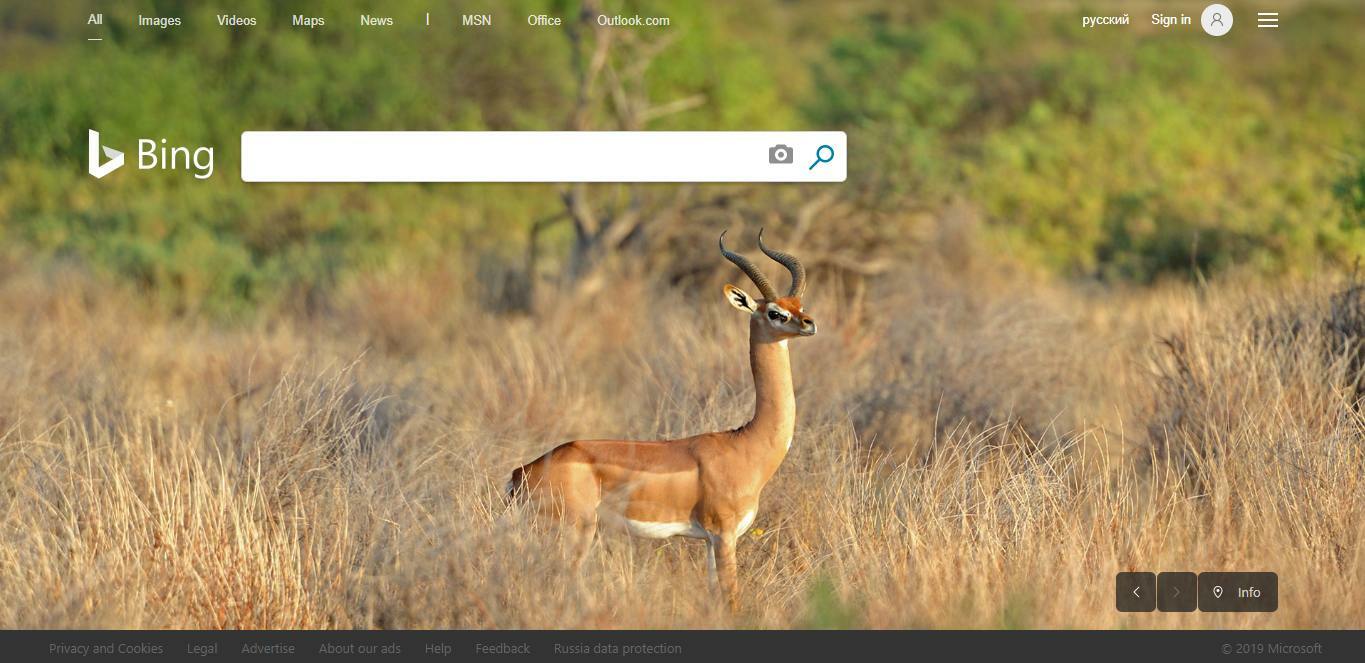 Bing searching system
