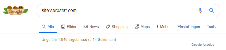 Prüfung der Indexierung mit dem Operator site