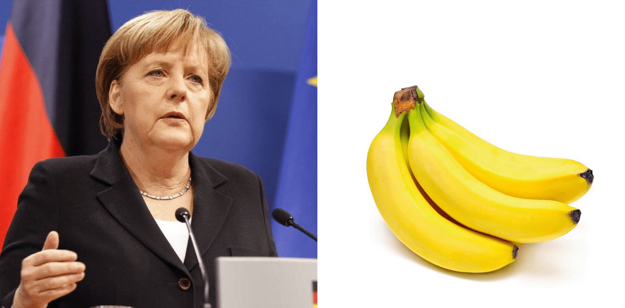 Wonach fragen Deutsche am häufigsten? Quiz! 16261788224335 Wonach fragen Deutsche am häufigsten? Quiz! 16261788224335